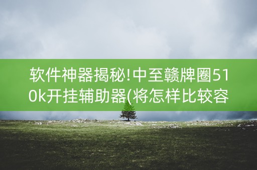 软件神器揭秘!中至赣牌圈510k开挂辅助器(将怎样比较容易赢)