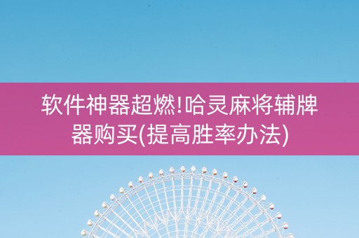 软件神器超燃!哈灵麻将辅牌器购买(提高胜率办法)