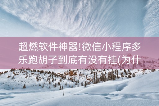 超燃软件神器!微信小程序多乐跑胡子到底有没有挂(为什么经常输)