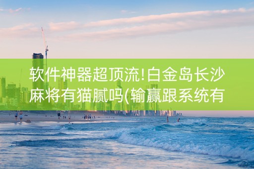 软件神器超顶流!白金岛长沙麻将有猫腻吗(输赢跟系统有关系吗)