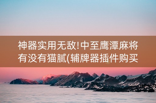 神器实用无敌!中至鹰潭麻将有没有猫腻(辅牌器插件购买)