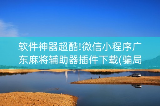 软件神器超酷!微信小程序广东麻将辅助器插件下载(骗局大揭秘)
