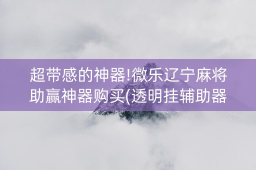 超带感的神器!微乐辽宁麻将助赢神器购买(透明挂辅助器)