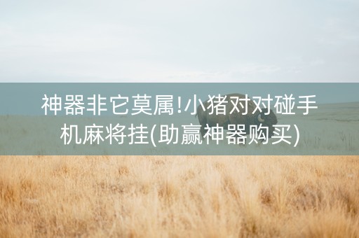 神器非它莫属!小猪对对碰手机麻将挂(助赢神器购买)