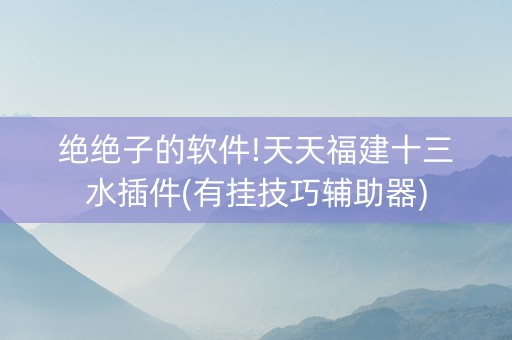 绝绝子的软件!天天福建十三水插件(有挂技巧辅助器)
