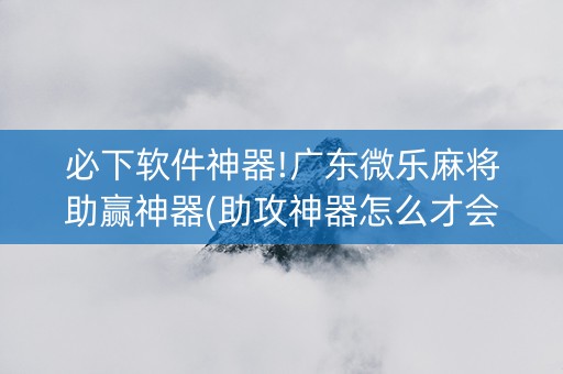 必下软件神器!广东微乐麻将助赢神器(助攻神器怎么才会赢)