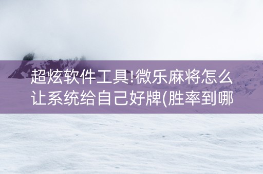 超炫软件工具!微乐麻将怎么让系统给自己好牌(胜率到哪调)