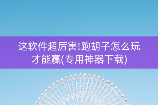 这软件超厉害!跑胡子怎么玩才能赢(专用神器下载)