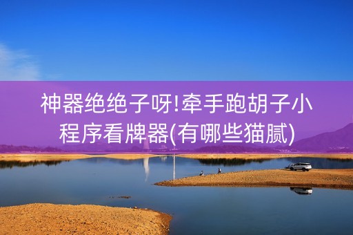 神器绝绝子呀!牵手跑胡子小程序看牌器(有哪些猫腻)