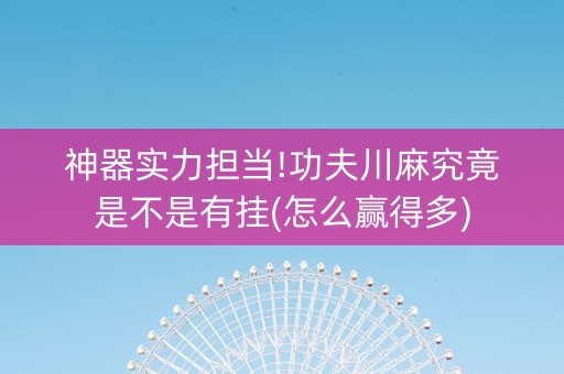 神器实力担当!功夫川麻究竟是不是有挂(怎么赢得多)