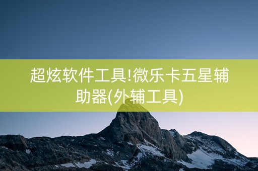 超炫软件工具!微乐卡五星辅助器(外辅工具)