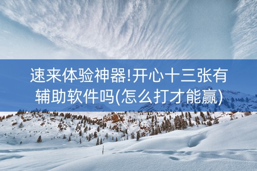 速来体验神器!开心十三张有辅助软件吗(怎么打才能赢)