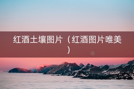 红酒土壤图片（红酒图片唯美）