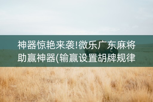 神器惊艳来袭!微乐广东麻将助赢神器(输赢设置胡牌规律)