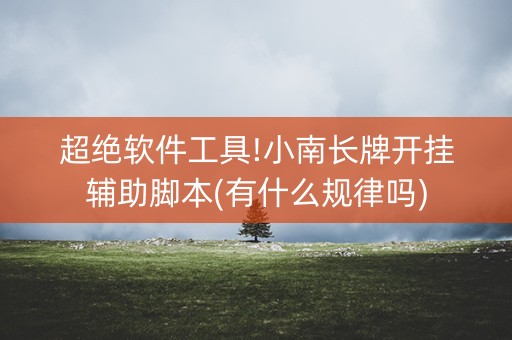 超绝软件工具!小南长牌开挂辅助脚本(有什么规律吗)