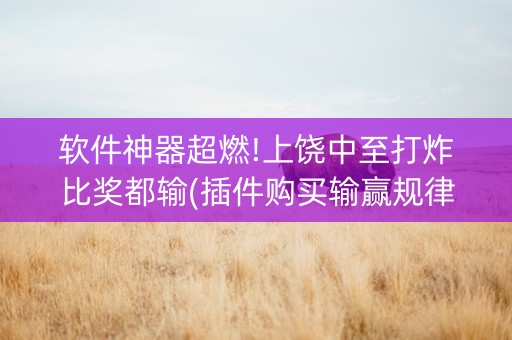 软件神器超燃!上饶中至打炸比奖都输(插件购买输赢规律)