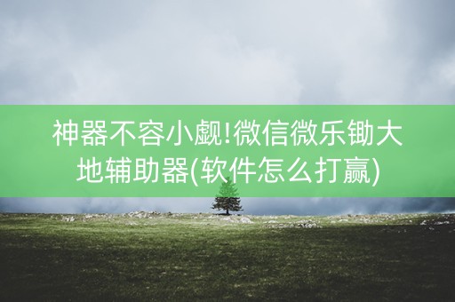 神器不容小觑!微信微乐锄大地辅助器(软件怎么打赢)