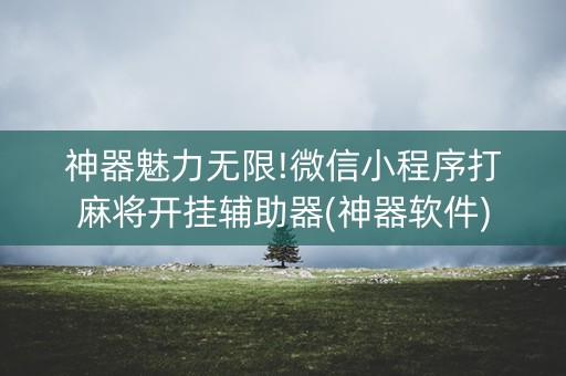 神器魅力无限!微信小程序打麻将开挂辅助器(神器软件)