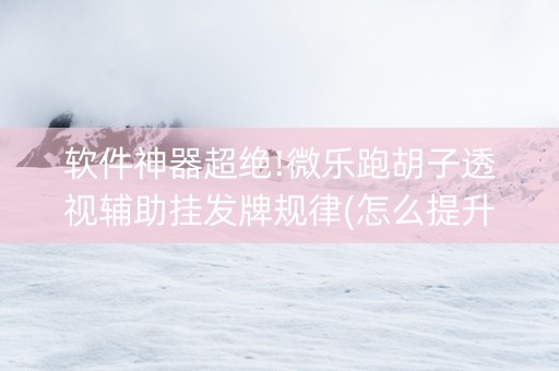软件神器超绝!微乐跑胡子透视辅助挂发牌规律(怎么提升胜率)