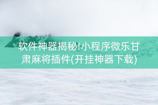 软件神器揭秘!小程序微乐甘肃麻将插件(开挂神器下载)