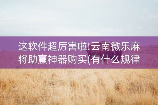 这软件超厉害啦!云南微乐麻将助赢神器购买(有什么规律)