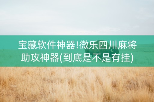 宝藏软件神器!微乐四川麻将助攻神器(到底是不是有挂)
