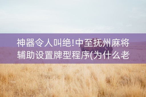 神器令人叫绝!中至抚州麻将辅助设置牌型程序(为什么老是输呢)