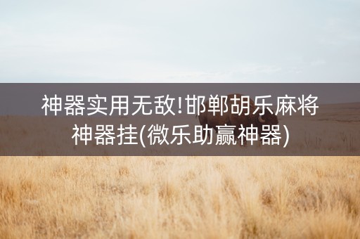神器实用无敌!邯郸胡乐麻将神器挂(微乐助赢神器)