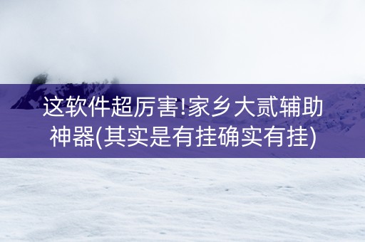 这软件超厉害!家乡大贰辅助神器(其实是有挂确实有挂)
