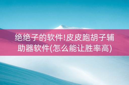 绝绝子的软件!皮皮跑胡子辅助器软件(怎么能让胜率高)