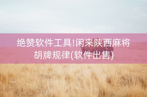 绝赞软件工具!闲来陕西麻将胡牌规律(软件出售)