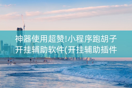 神器使用超赞!小程序跑胡子开挂辅助软件(开挂辅助插件)