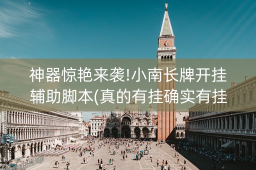 神器惊艳来袭!小南长牌开挂辅助脚本(真的有挂确实有挂)
