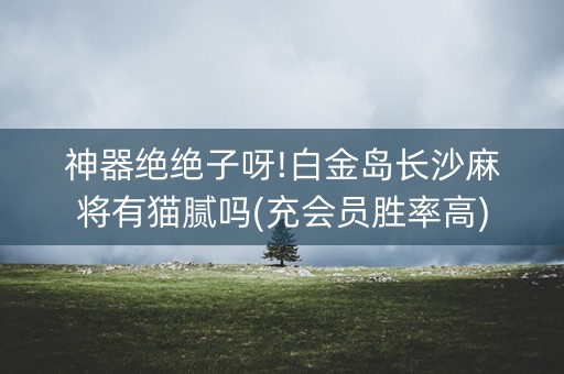神器绝绝子呀!白金岛长沙麻将有猫腻吗(充会员胜率高)