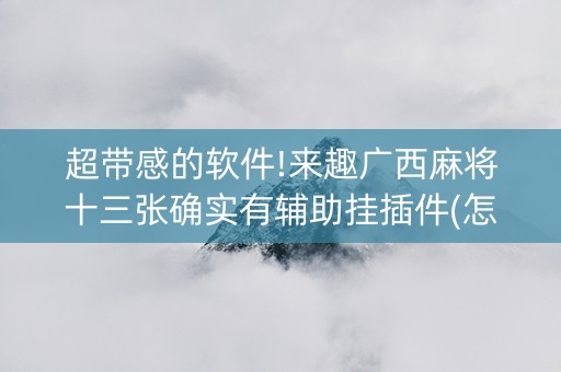 超带感的软件!来趣广西麻将十三张确实有辅助挂插件(怎么才有好牌)