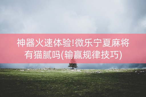 神器火速体验!微乐宁夏麻将有猫腻吗(输赢规律技巧)