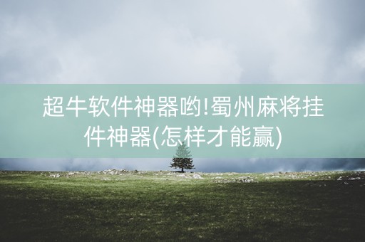 超牛软件神器哟!蜀州麻将挂件神器(怎样才能赢)