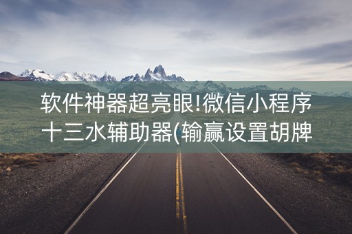 软件神器超亮眼!微信小程序十三水辅助器(输赢设置胡牌规律)