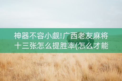神器不容小觑!广西老友麻将十三张怎么提胜率(怎么才能赢)