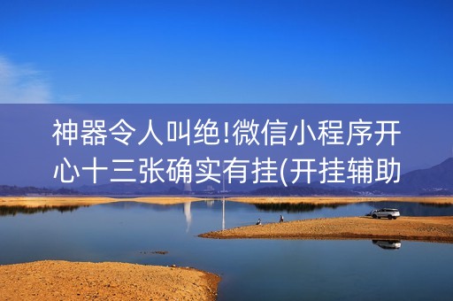 神器令人叫绝!微信小程序开心十三张确实有挂(开挂辅助器插件)