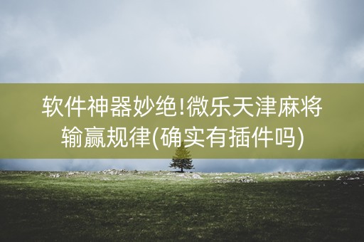软件神器妙绝!微乐天津麻将输赢规律(确实有插件吗)