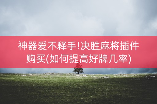 神器爱不释手!决胜麻将插件购买(如何提高好牌几率)