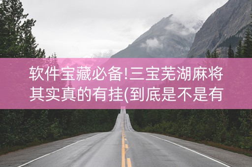 软件宝藏必备!三宝芜湖麻将其实真的有挂(到底是不是有挂)