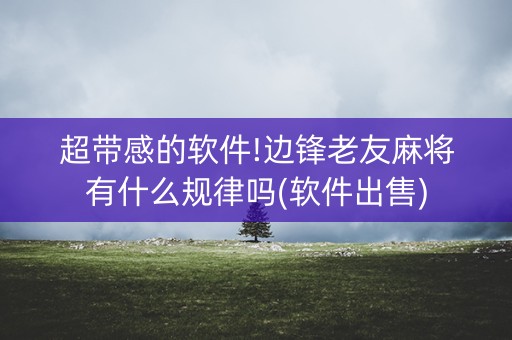 超带感的软件!边锋老友麻将有什么规律吗(软件出售)