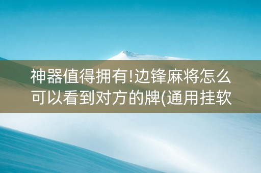 神器值得拥有!边锋麻将怎么可以看到对方的牌(通用挂软件多少钱)