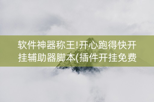 软件神器称王!开心跑得快开挂辅助器脚本(插件开挂免费AI)