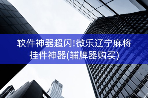 软件神器超闪!微乐辽宁麻将挂件神器(辅牌器购买)