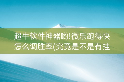 超牛软件神器哟!微乐跑得快怎么调胜率(究竟是不是有挂)