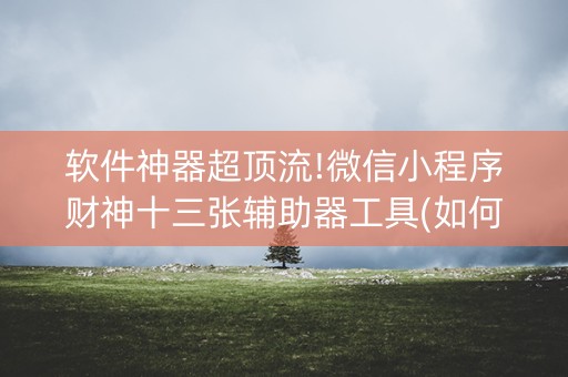 软件神器超顶流!微信小程序财神十三张辅助器工具(如何让系统发好牌)
