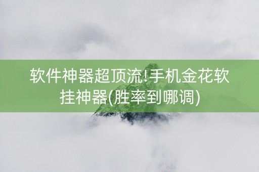 软件神器超顶流!手机金花软挂神器(胜率到哪调)